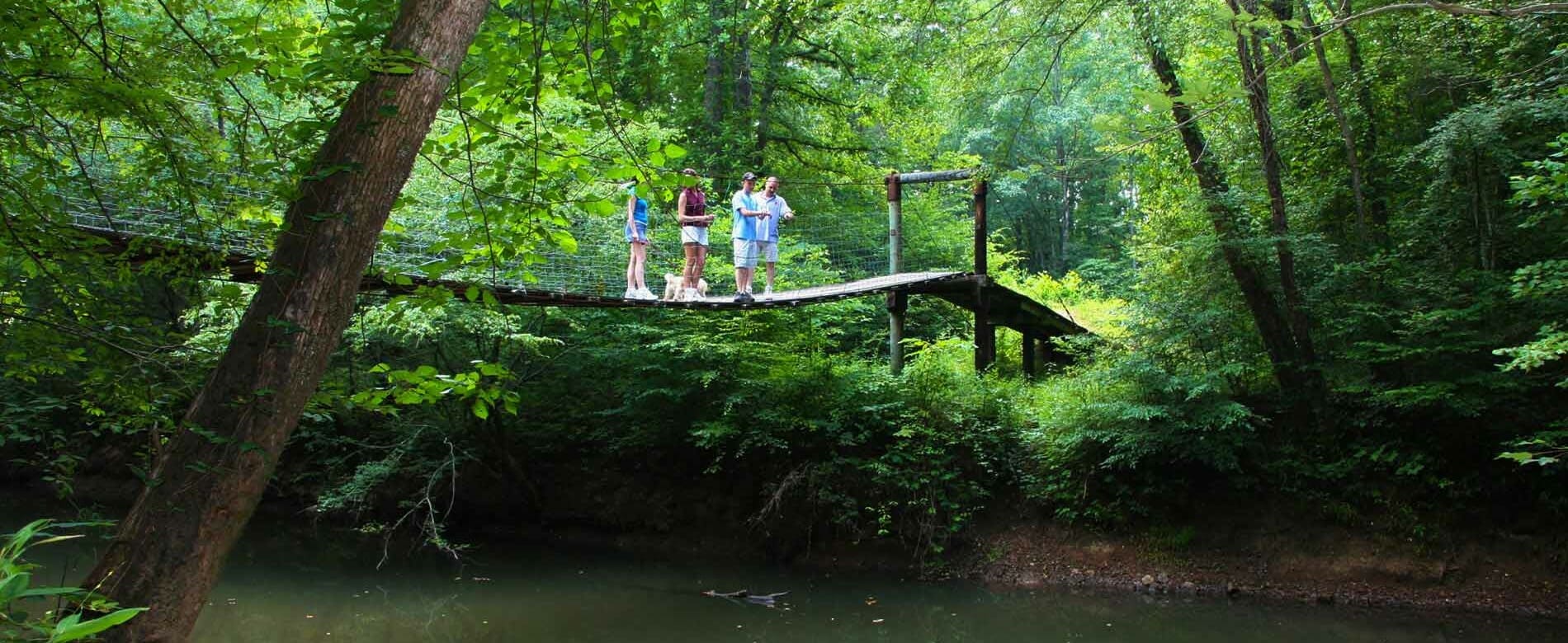 AppomattoxBuckingham State Forest LYH Lynchburg Tourism