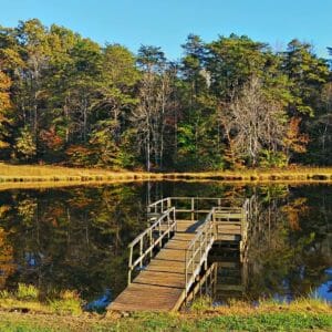 Paradise Lake Campground