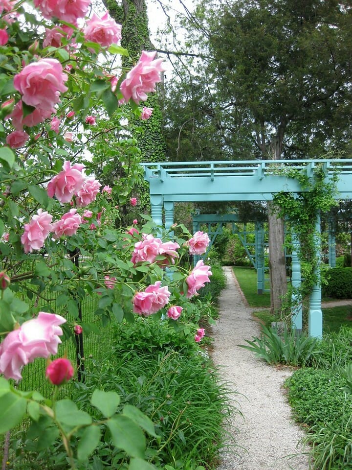 Anne Spencer Garden