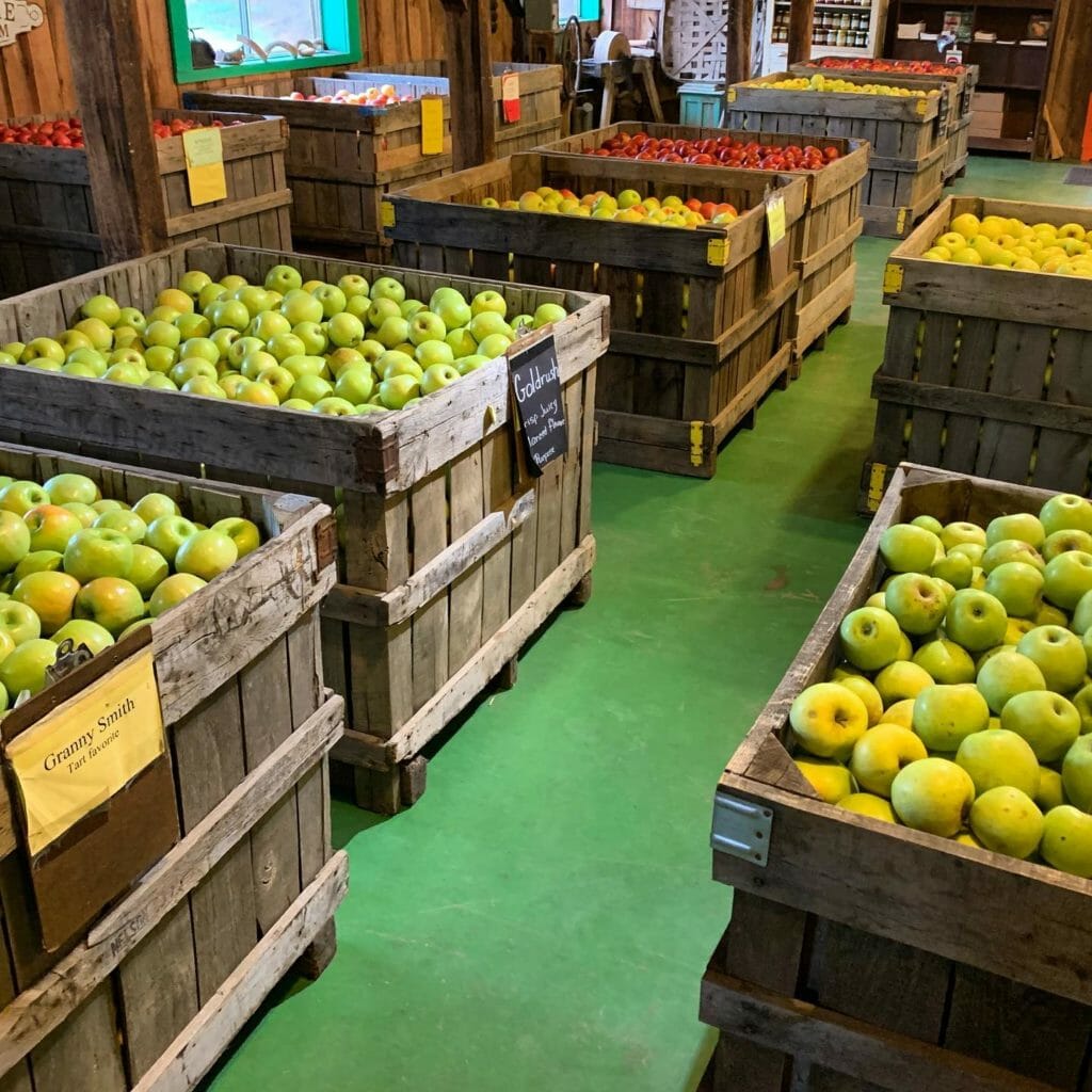 Morris Orchard apples