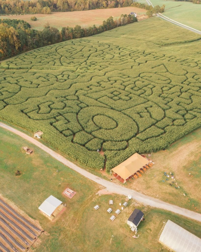 Yoder Farm Corn Maze