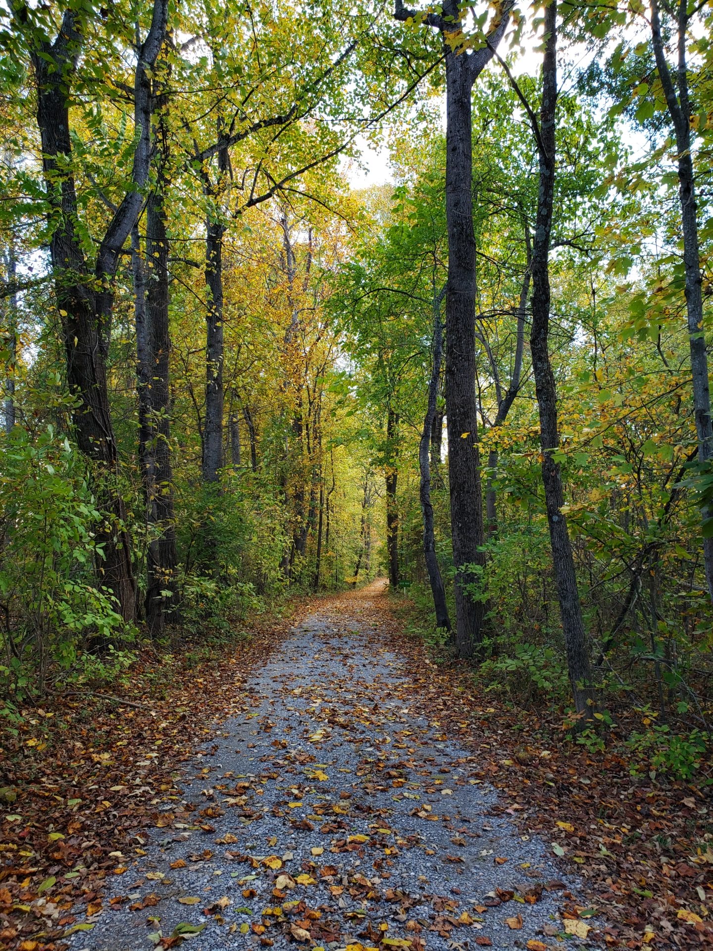 Opening Weekend Trail Hike at Thomas Jefferson's Poplar Forest - LYH –  Lynchburg Tourism