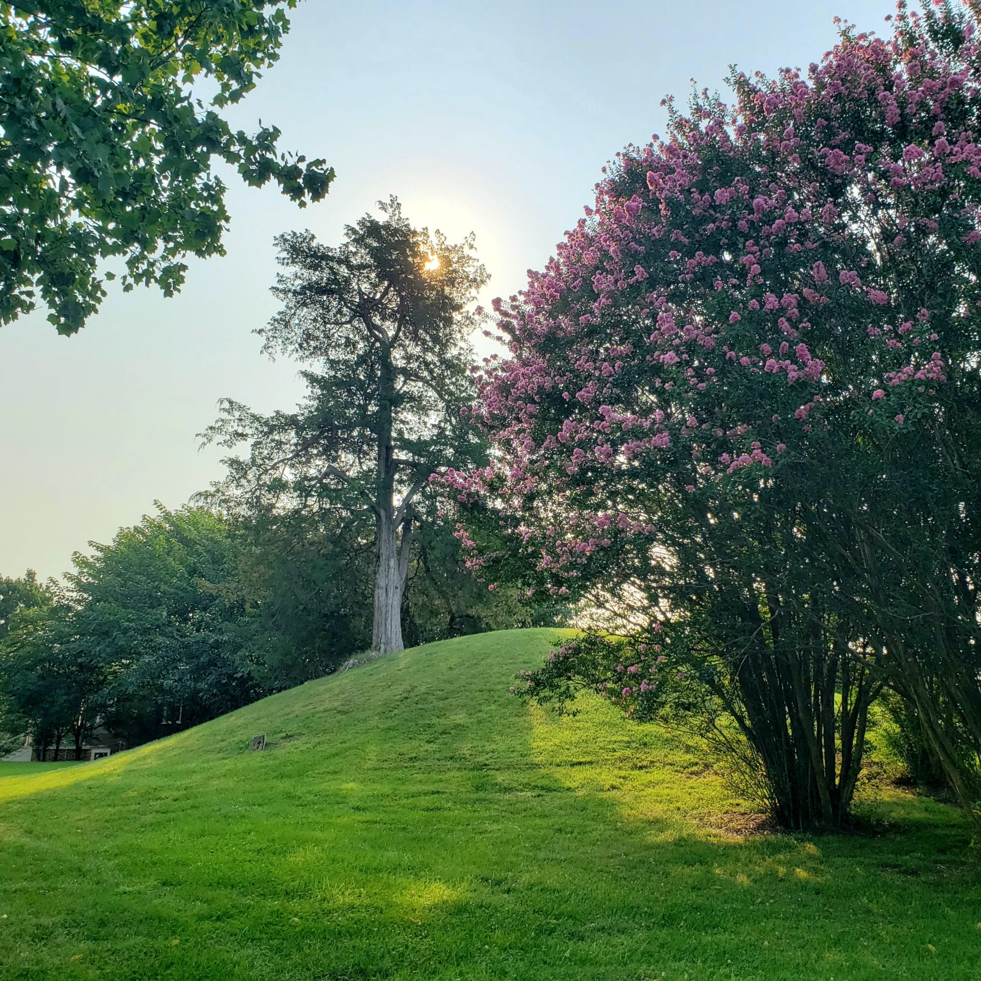Lynchburg Garden Day at Poplar Forest LYH Lynchburg Tourism