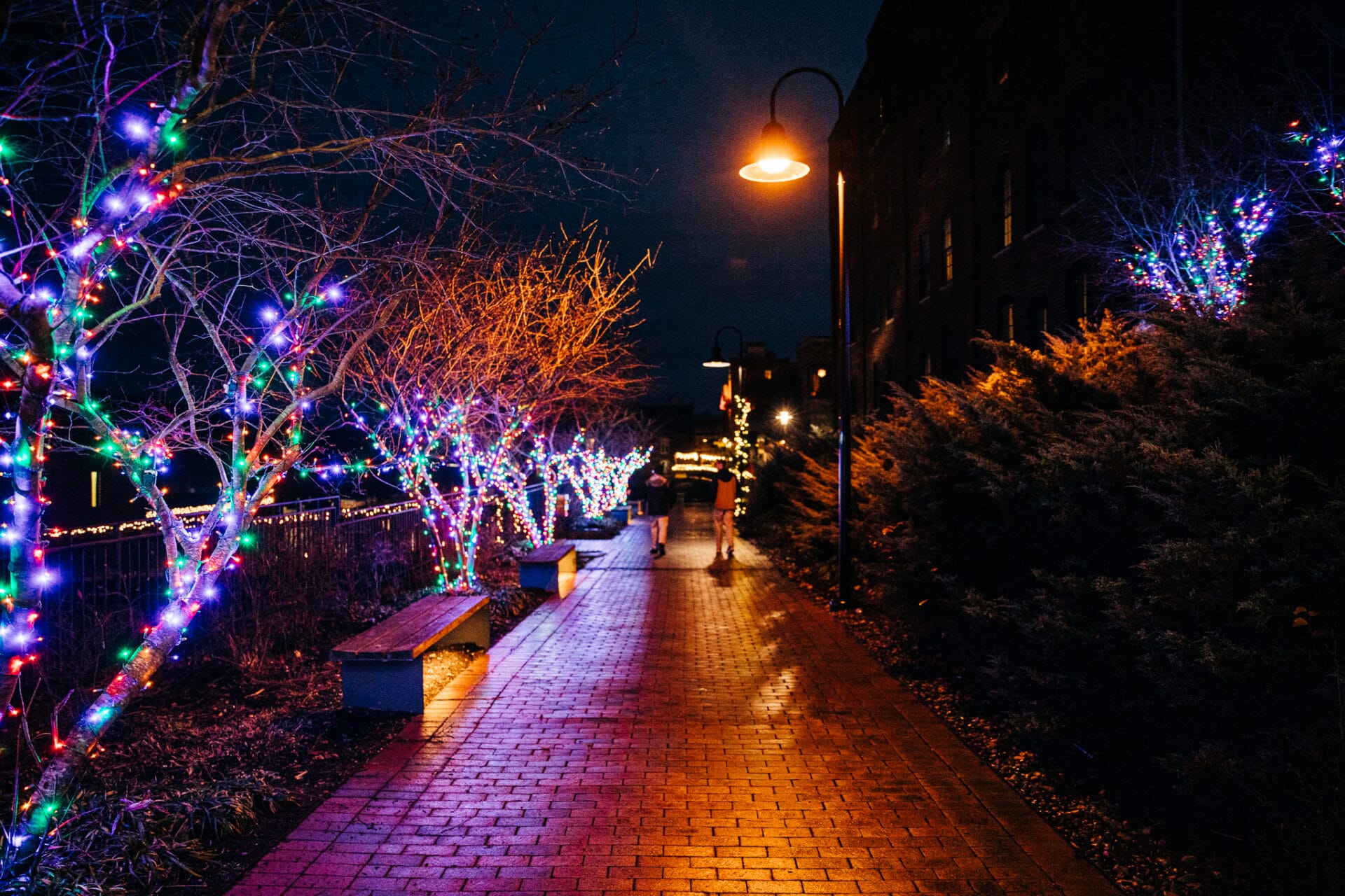 Bright Nights on the Bluffwalk LYH Lynchburg Tourism