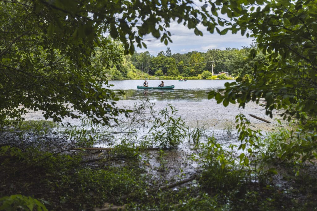 Blue kayak floating in the creek water surrounded by greenery and trees