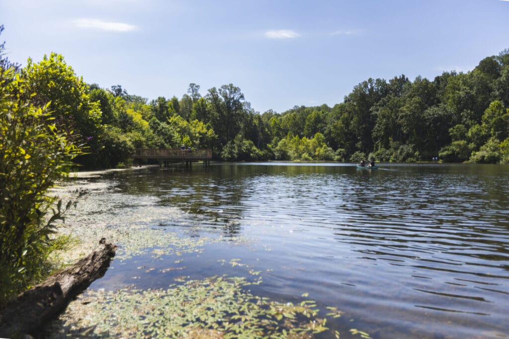 Ivy Creek lake area surrounded by green trees. People floating a canoe in distance